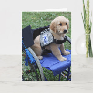 Cartão Formando Levi