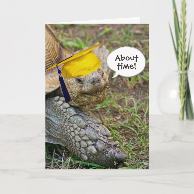 Cartão Formando Tortoise Antigo com Boné Dourado (Frente)