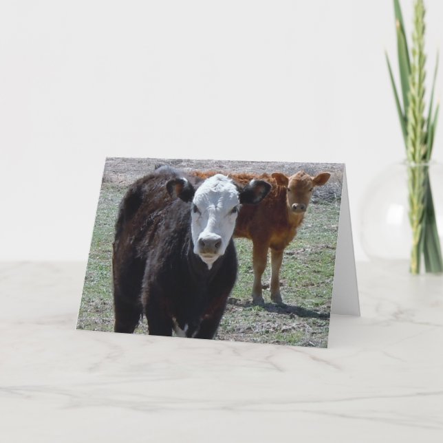 Cartão Formando Vet de Parabéns Cortantes - DVM de Fazend (Frente)