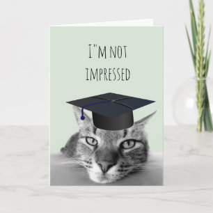 Cartão Formatura Não Impressionada Gato Bravo Humor