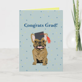Cartão Formatura, Parabéns Graduado! Bulldog Francês