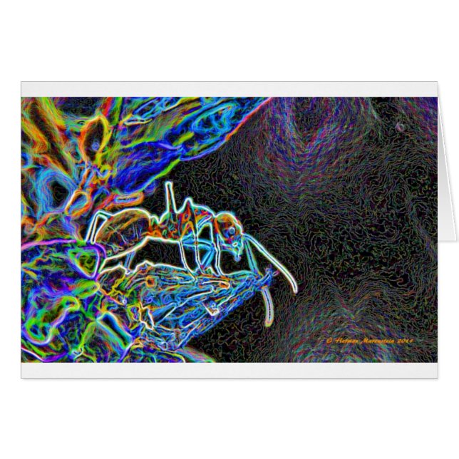 Cartão formiga a1 (Frente Horizontal)