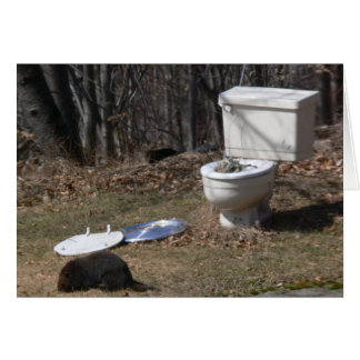 Cartão Forragem Groundhog