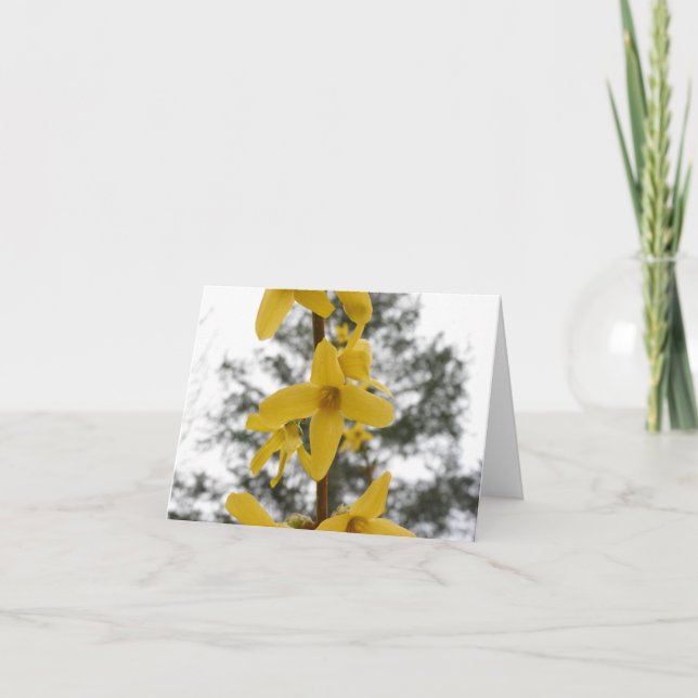 Cartão Forsythia blossom notecard (Frente)