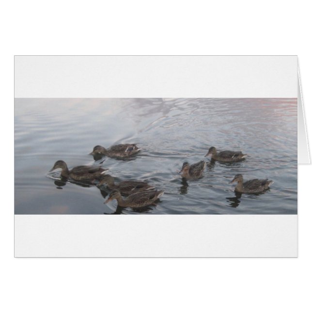 CARTÃO FORT RICHARDSON ALASKA (Frente Horizontal)