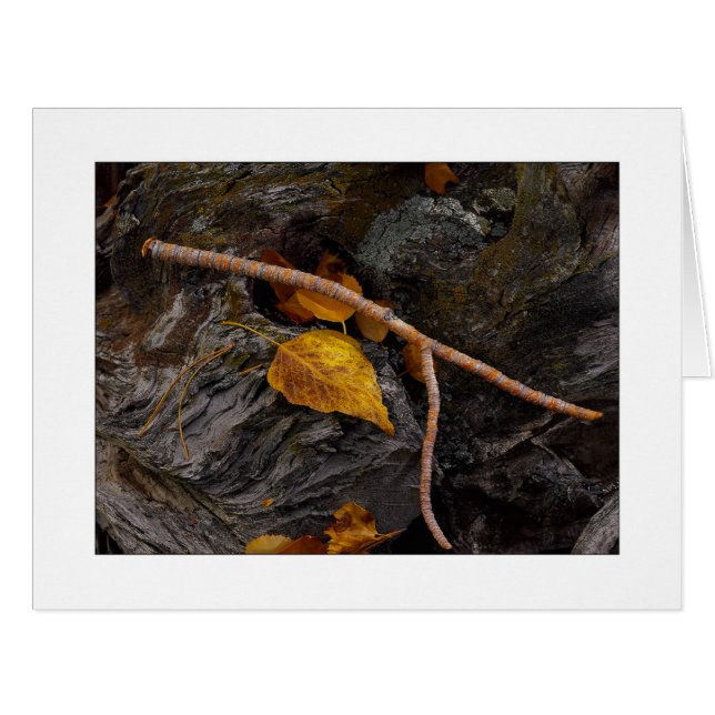 Cartão "Fósforo" (Frente horizontal)