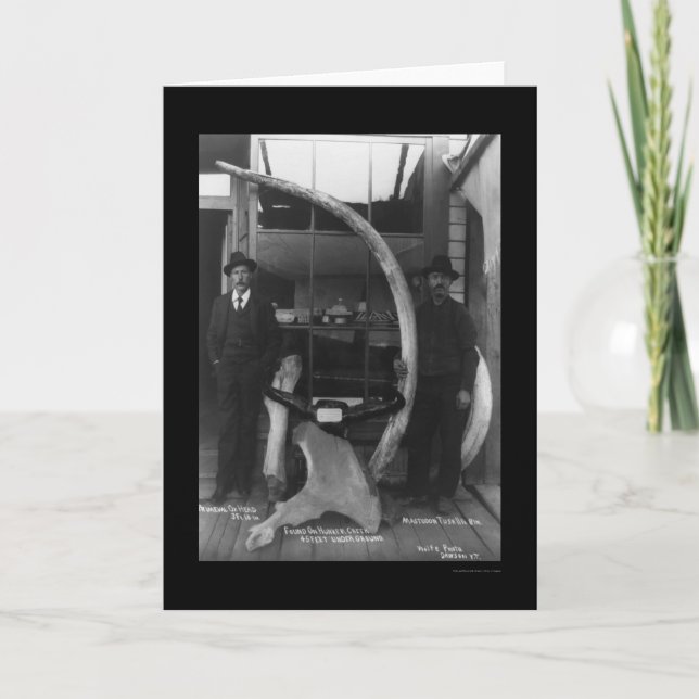 Cartão Fósseis encontrados no território yukon 1888 (Frente)