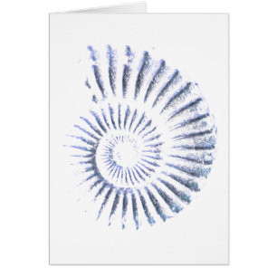 Cartão fóssil de ammonite