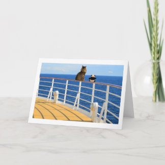 Cartão Foster and Panda Cruise Card