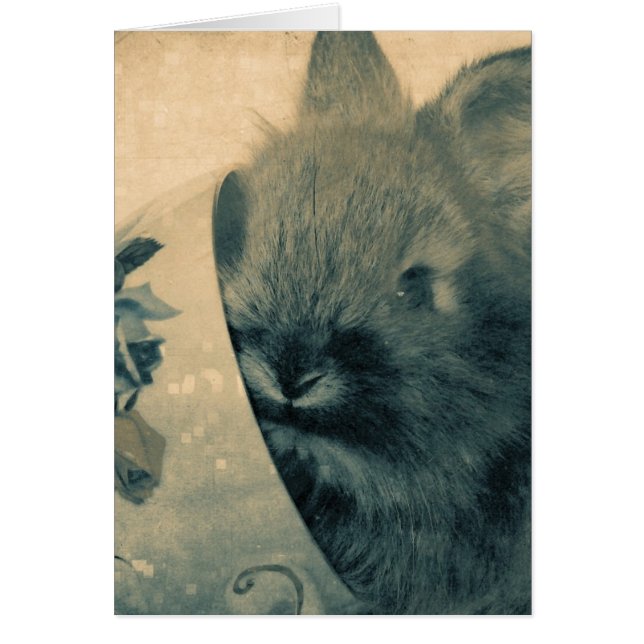 Cartão Foto antiga de coelho desbotada Todas as Ocasiões (Frente)