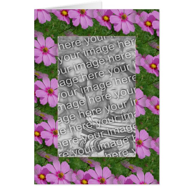 Cartão Foto bonito do Design do ventilador do Cosmos Rosa (Frente)