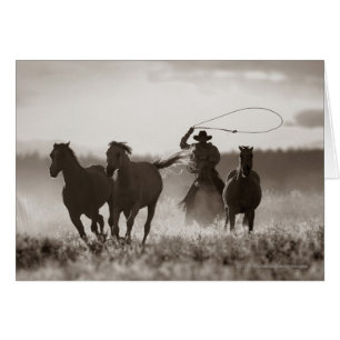 Cartão Foto branca e negra de um cowboy abando de cavalos