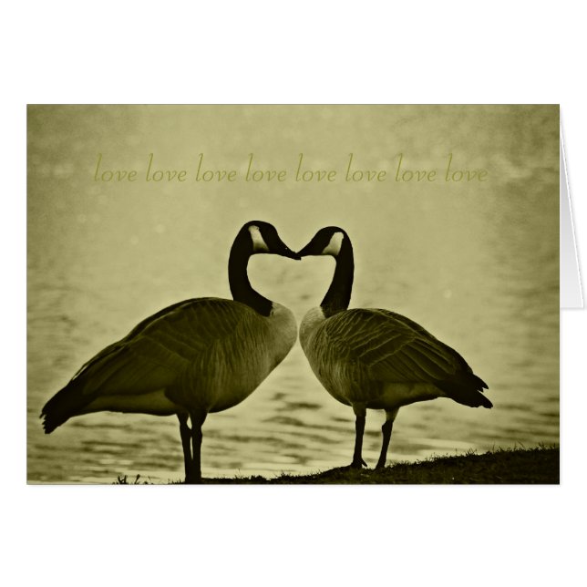 Cartão Foto canadense dos gansos (Frente Horizontal)