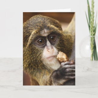 Cartão Foto da árvore de treinar macaco subindo