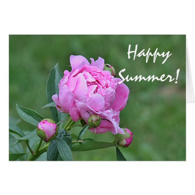 Cartão Foto da flor do verão (Frente Horizontal)