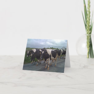 Cartão Foto da Irlanda