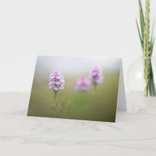 Cartão Foto da Natureza da Orquídea Selvagem