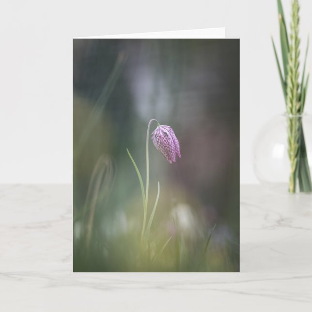 Cartão Foto da Natureza do Chess Flower (Frente)