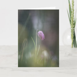 Cartão Foto da Natureza do Chess Flower