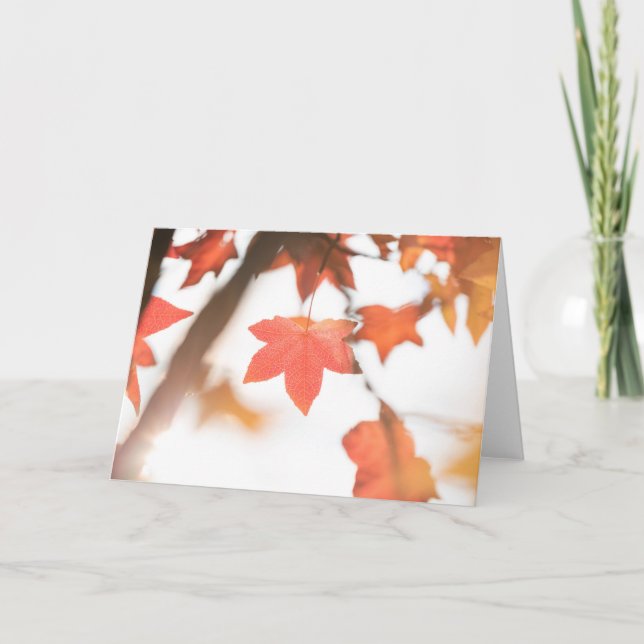 Cartão Foto da natureza do Folheto Vermelho (Frente)