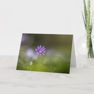 Cartão Foto da natureza do girassol púrpura