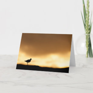 Cartão Foto da Natureza do Pássaro Sunset