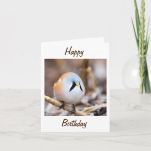 CARTÃO "FOTO DA NORUEGA" TWEETA FELIZ AMIGO DE ANIVERSÁRI