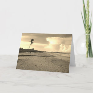 Cartão Foto da Praia da Costa Rica com Palmeira