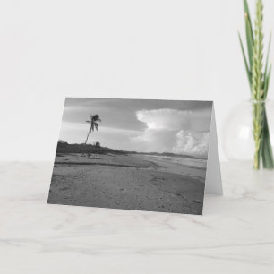 Cartão Foto da Praia da Costa Rica com Palmeira
