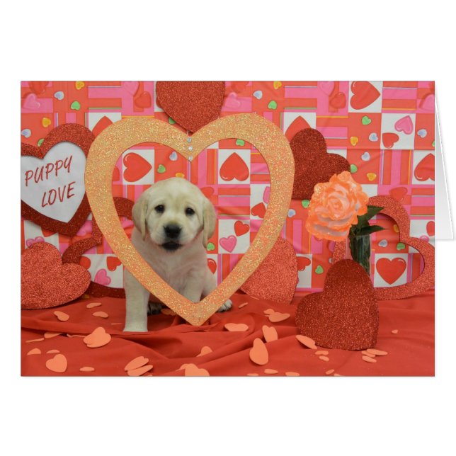 Cartão Foto da semana 6 da agitação (Frente Horizontal)