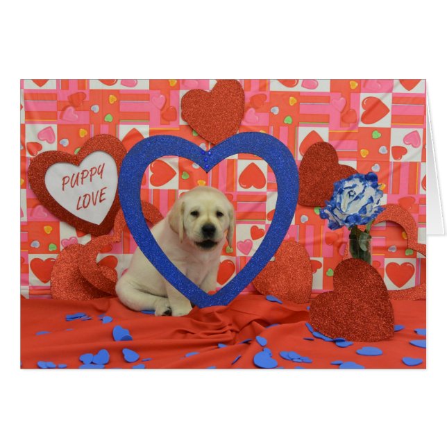 Cartão Foto da semana 6 do blizzard (Frente Horizontal)