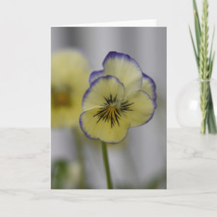 Cartão Foto de Amor-Perfeito Amarelo e Violeta – Cottagec