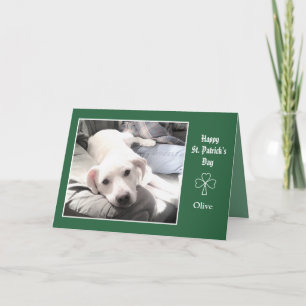 Cartão Foto de Cachorro Bonito Sentado com Melhor Pai Ami