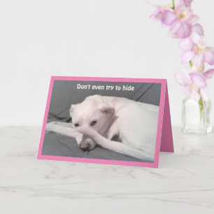 Cartão Foto de Cachorro Triste Escondendo-se Por Trás do