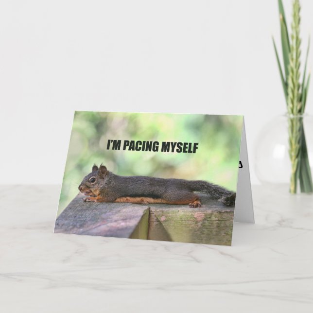 Cartão Foto de Esquilo Preguiçoso (Frente)