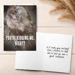 Cartão Foto de Fecho de Galinha Inclinada Enrolada