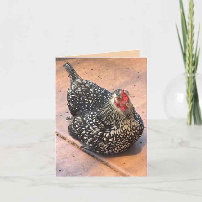 Cartão Foto de Frango Preto e Branco em Repouso (Frente)