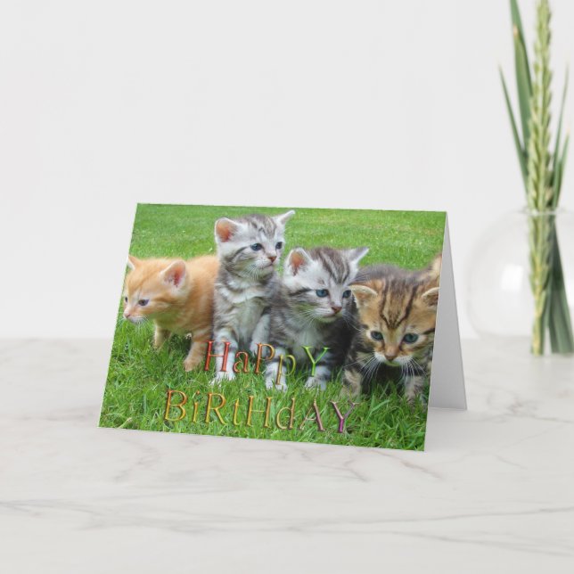 Cartão Foto de gatinhos de cachorros doces (Frente)