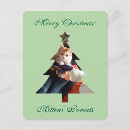 Cartão Foto de Gato com Felicitaciones de Natal