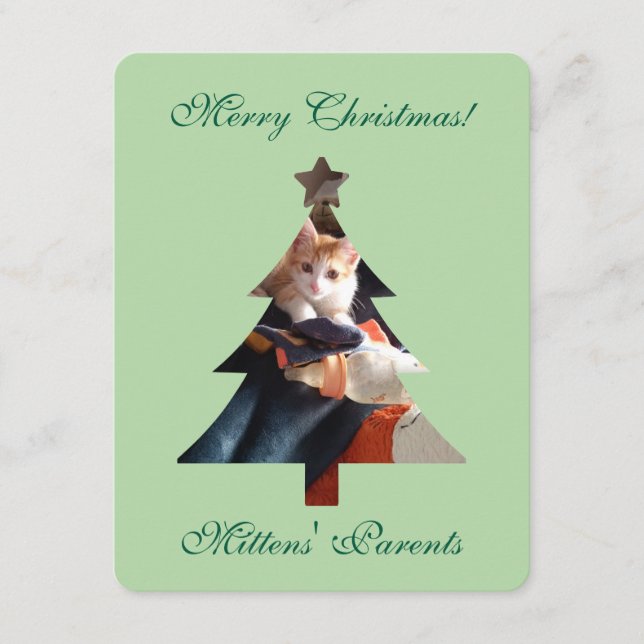Cartão Foto de Gato com Felicitaciones de Natal  (Frente)