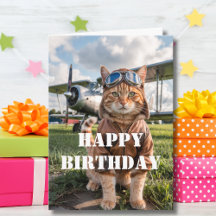 Foto de Gato Piloto de Aniversário & Avião Engraça