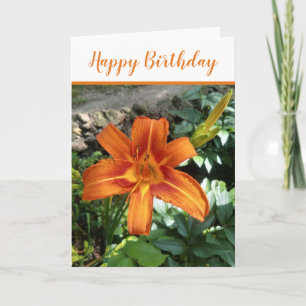 Cartão Foto de Hemerocallis laranja Dia de aniversário fe
