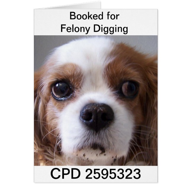 Cartão Foto de Mug de Sexta-Feira (Frente)