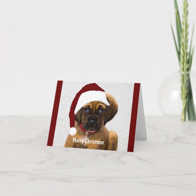 Cartão foto de Natal de animal de estimação personalizada (Frente)