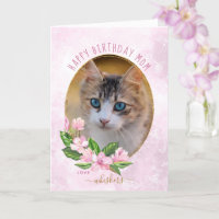 Foto de Natal Dourada e Rosa Moderna, Foto de Cat