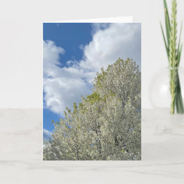 Cartão Foto de Nuvens Céu Azul Árvore Branca