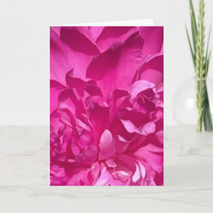 Cartão Foto de Planta de Flor de Rhododendron Close-up