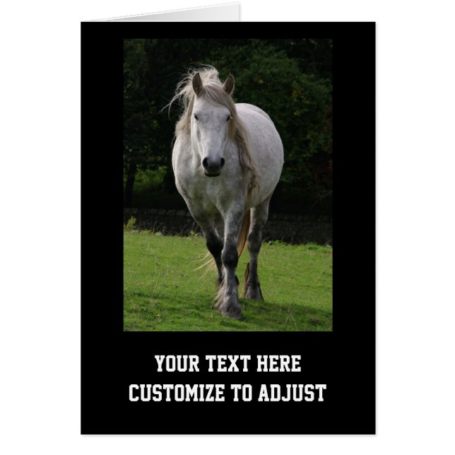 Cartão Foto de pônei bonito (Frente)