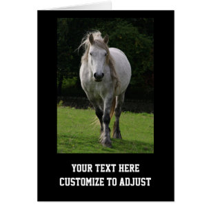 Cartão Foto de pônei bonito