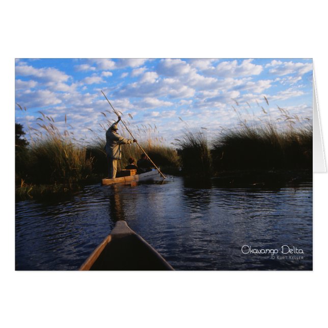 Cartão Foto delta do Okavango (Frente horizontal)